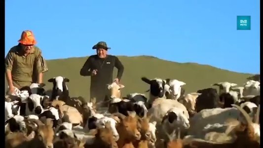 Сайн, муу, хэрцгий