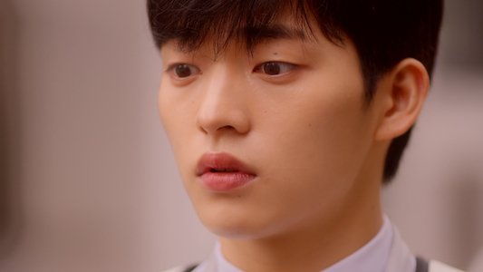 겨울 지나 벚꽃