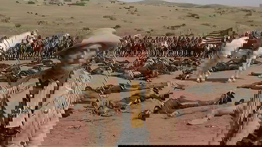 Custer of the West