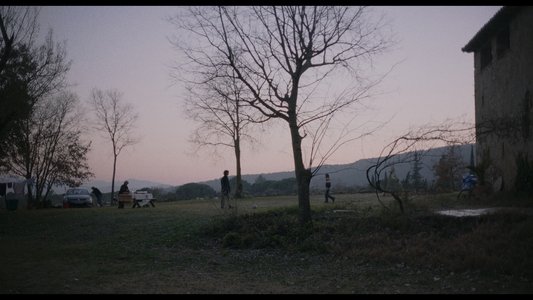 Trenc d'alba