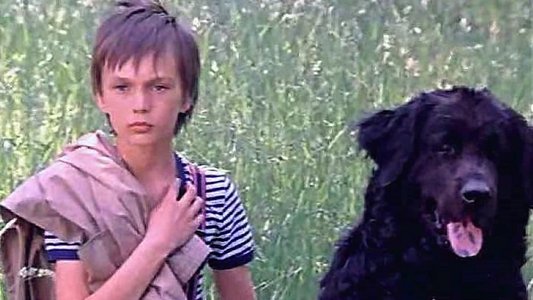 Каждый охотник желает знать