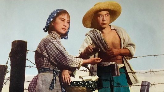 渡江侦察记