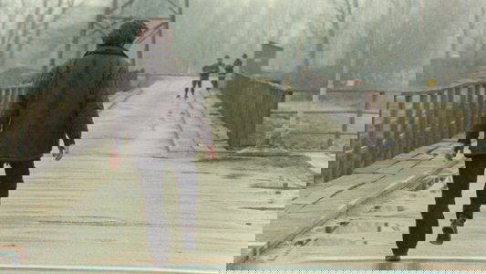 Το μετέωρο βήμα του πελαργού
