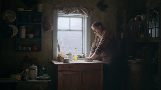 Сірі бджоли
