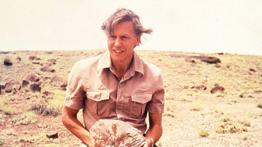 Making Life on Earth: Attenborough’s Greatest Adventure