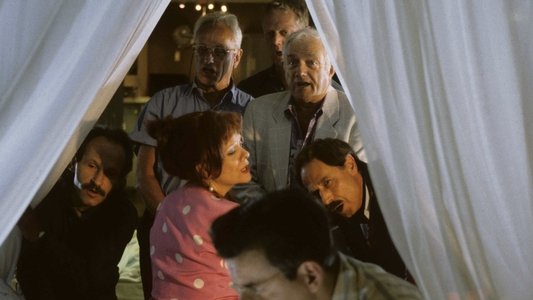 Midsommar-Stories