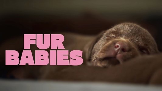 Fur Babies