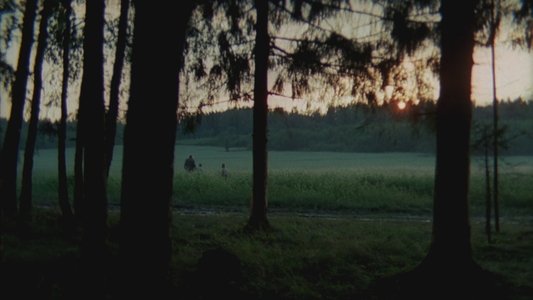 Зеркало