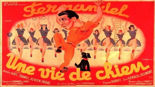 Une vie de chien