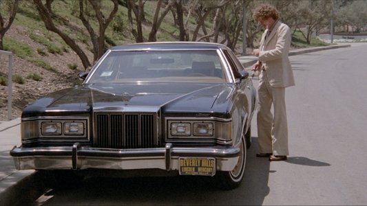 California Gigolo
