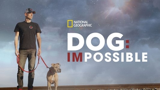 Dog: Impossible