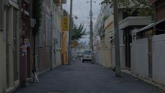 설희