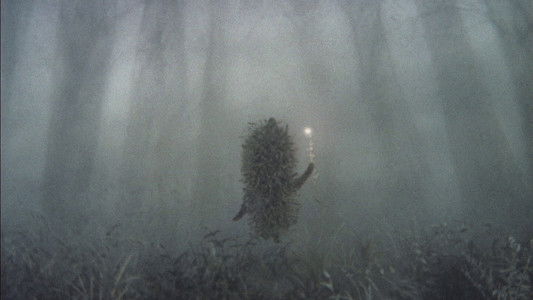 Ёжик в тумане