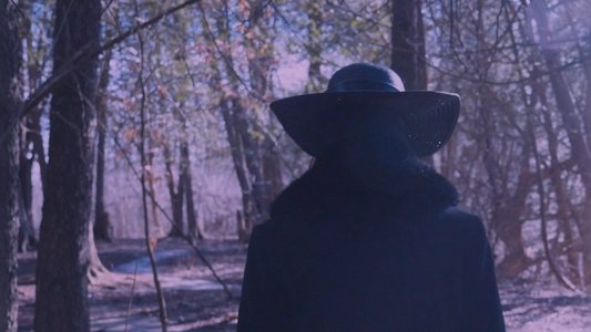 Cold Days From the Treetops