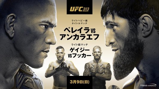 UFC 313: Pereira vs. Ankalaev