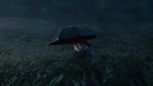 Paddington in Peru