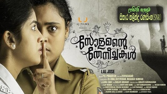 സോളമന്‍റെ തേനീച്ചകള്‍