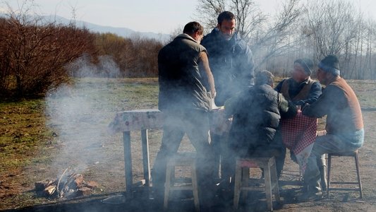 Meda sau partea nu prea fericită a lucrurilor