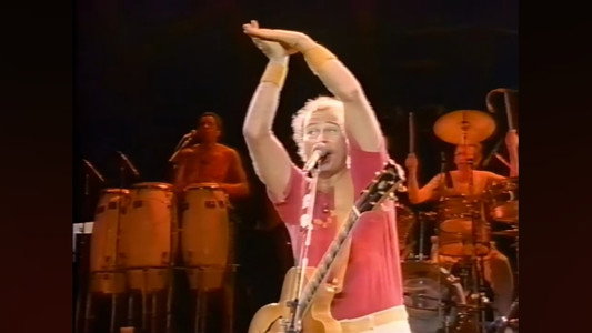 Jimmy Buffett: Live by the Bay