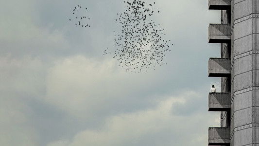 Време на бетон