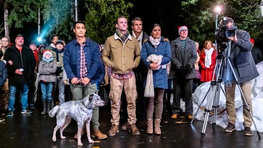A Homecoming for the Holidays