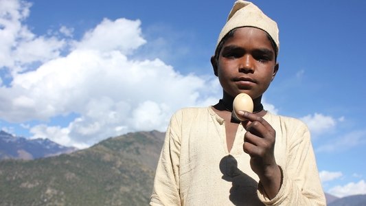 Kalo Pothi