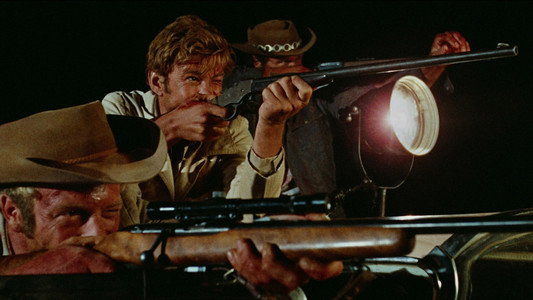Wake in Fright