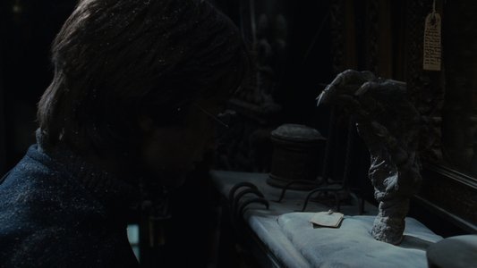 Harry Potter and the Chamber of Secrets