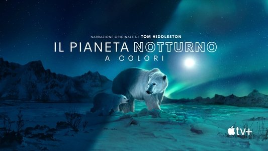 Earth at Night in Colour