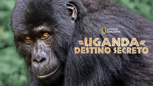Wild Uganda