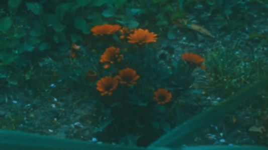 Nostalgia of Everything