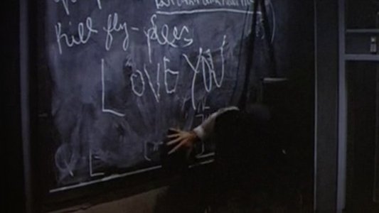 The Fly