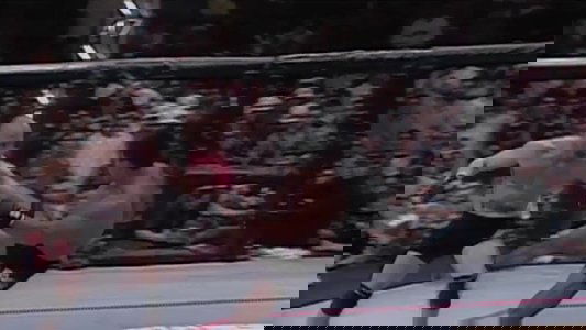 UFC 17.5: Ultimate Brazil
