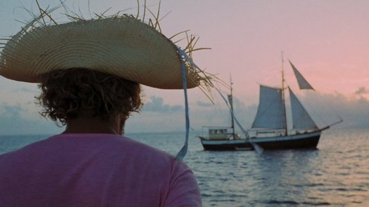 Les Naufragés de l'ile de la Tortue