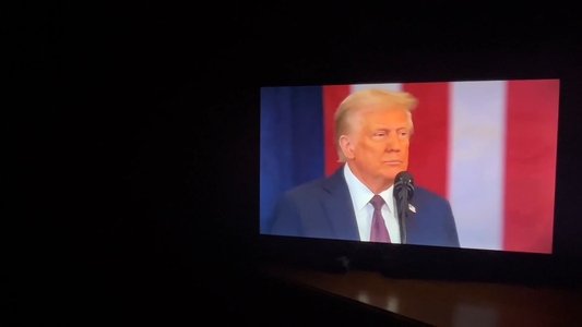 The Victims (or 100 and some days in MAGA America)