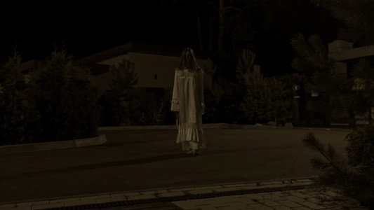 The Somnambulist