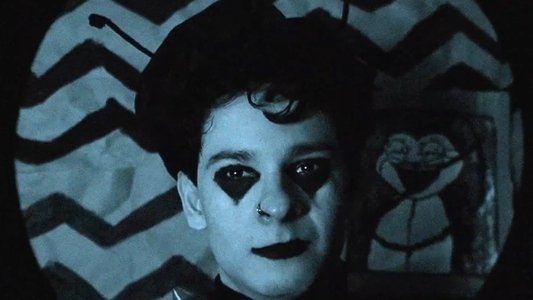 The Metamorphosis (or The Life, Times and Shenanigans of Gregor Samsa and When He Turned into a Cockroach)