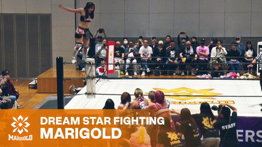 Marigold Shining Attack 2026 ~ Day 5