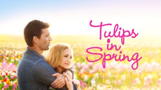 Tulips in Spring