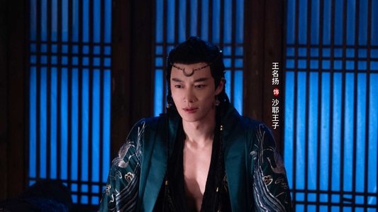 我的西域公主