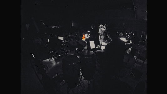 一把火 一张嘴 ：小老虎与上海交响乐团