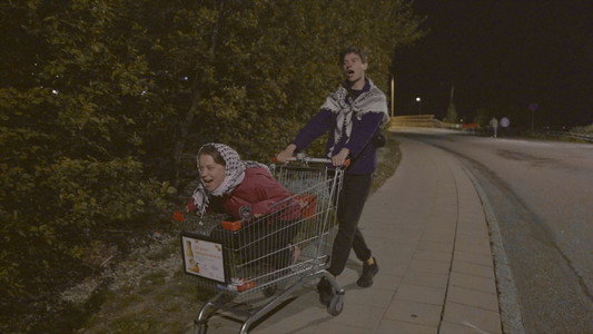 Strejkarna