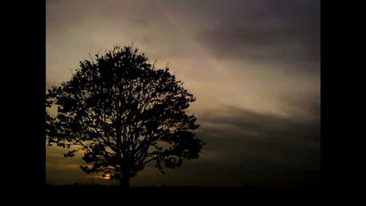 ნეტავ აღარასდროს მოვიდეს ზაფხული