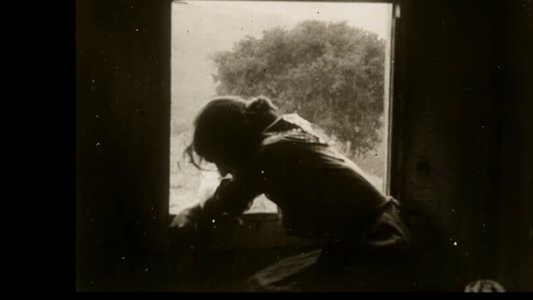 The Thief's Wife