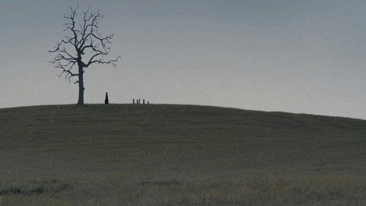 True Grit