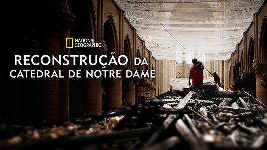 Saving Notre Dame