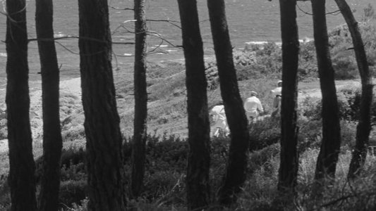 Jules et Jim