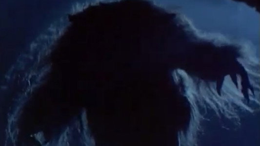 Howling V: The Rebirth