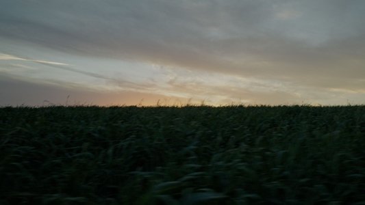 The Shape of Absence