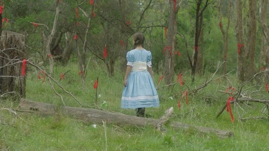 Following the Ribbon Trail